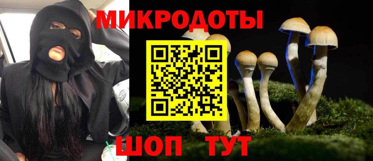 Галлюциногенные грибы прущие грибы Удомля
