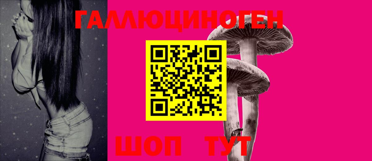 Удомля  Галлюциногенные грибы прущие грибы  Вход с VPN  Псилоцибиновые грибы Psilocybe 